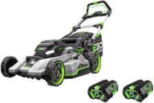 Top 10 Best Lawn Mowers 2026